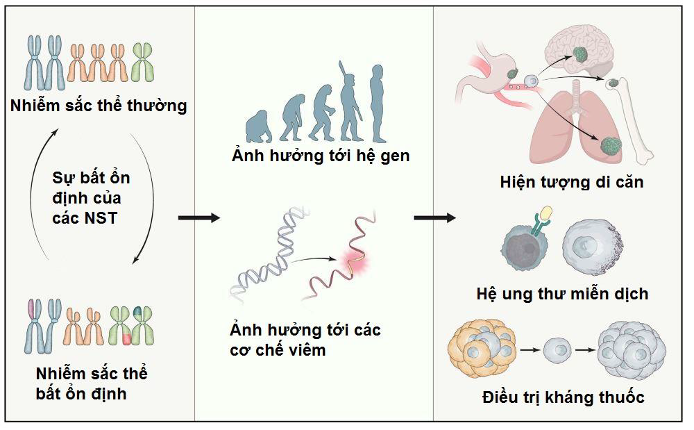 Xóa nhiễm sắc thể 10p - Hình ảnh minh họa